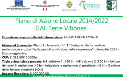 GAL Terre Vibonesi Piano Azione Locale 2014/2022. Misura 1 – Intervento 1.1.1 “Sostegno alla formazione professionale e azioni finalizzate all’acquisizione delle competenze” – Annualità 2024 – CUP: J12B24001360006